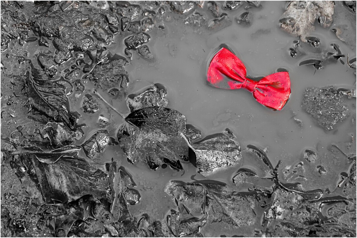 The party's over - Harvey Perkins